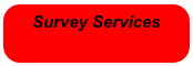 Survey Services